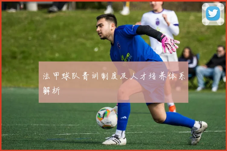 法甲球队青训制度及人才培养体系解析