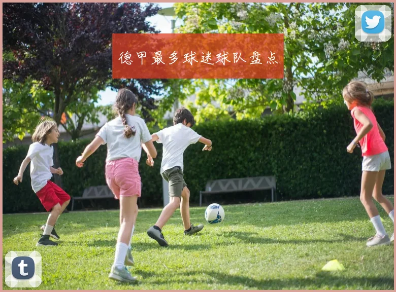 德甲最多球迷球队盘点