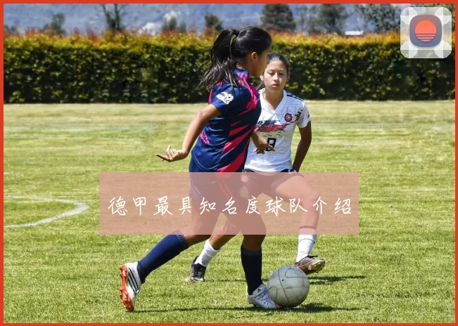 德甲最具知名度球队介绍