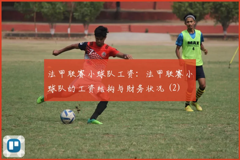 法甲联赛小球队工资：法甲联赛小球队的工资结构与财务状况 (2)